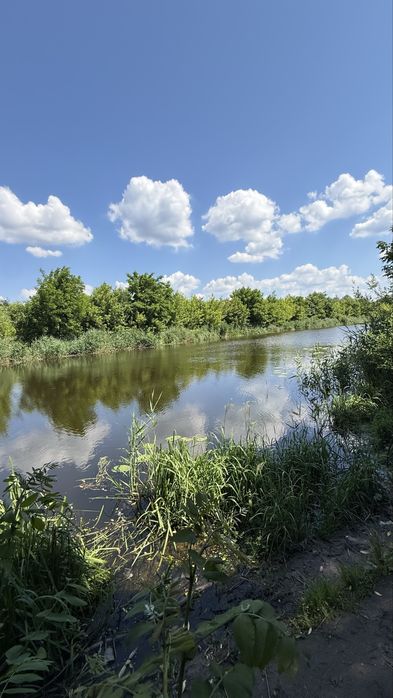 Продаж ділянки 1 + га , р. Дніпро, с. Балико Щучинка, Обухівський район