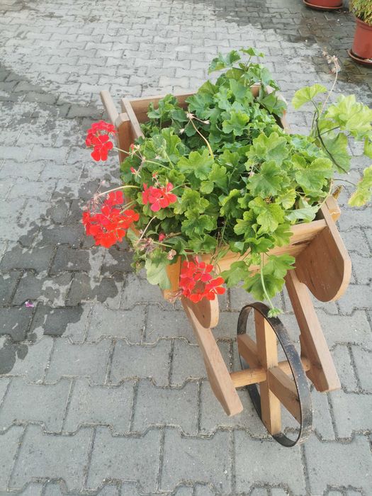 Carros de jardim
