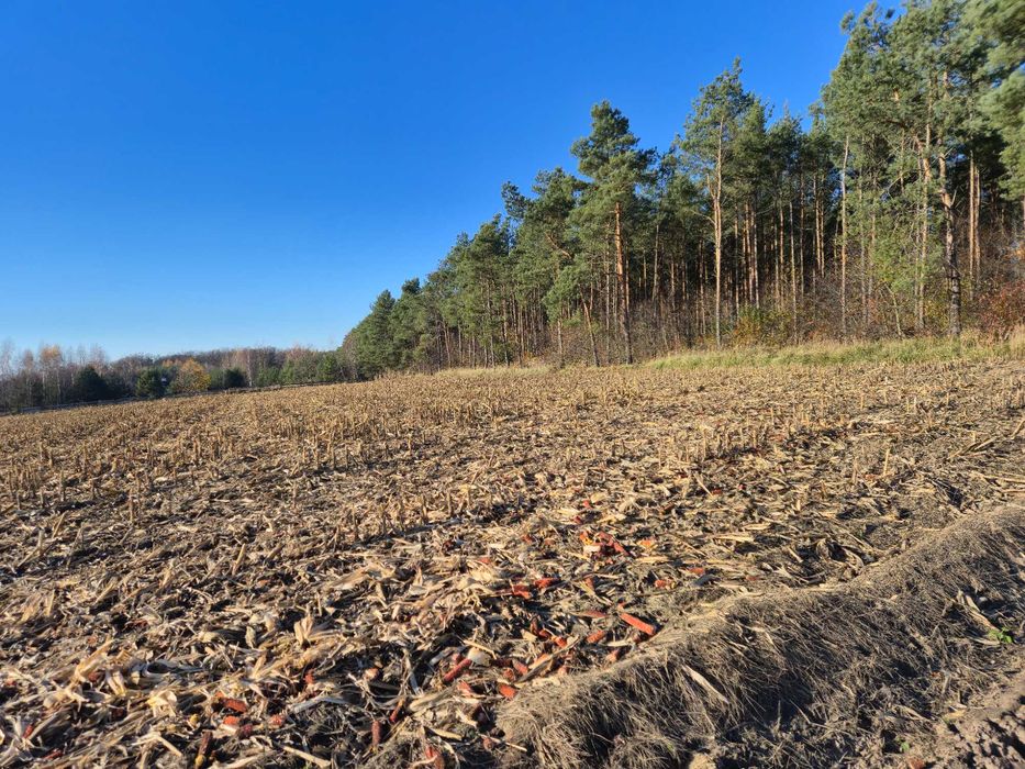 Działka m. Psary gm. Sieroszewice