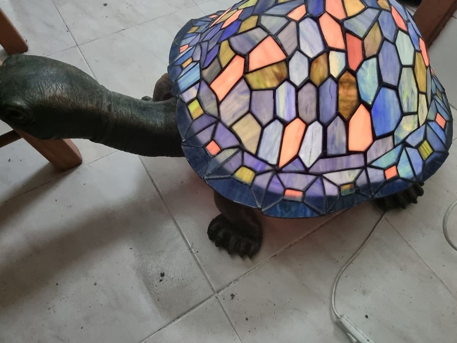Tartaruga  com luz