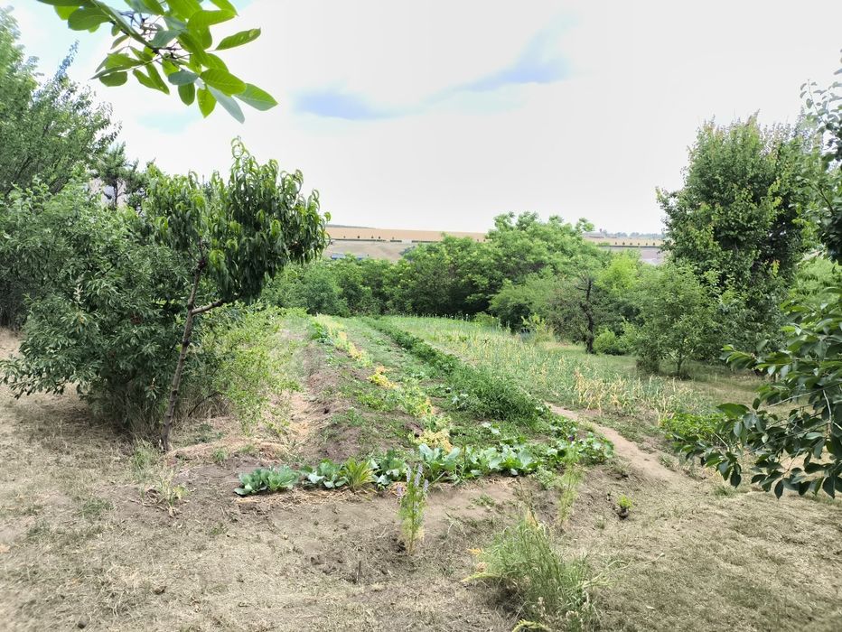 Продам будинок у с. Грушівка . Миколаївської області