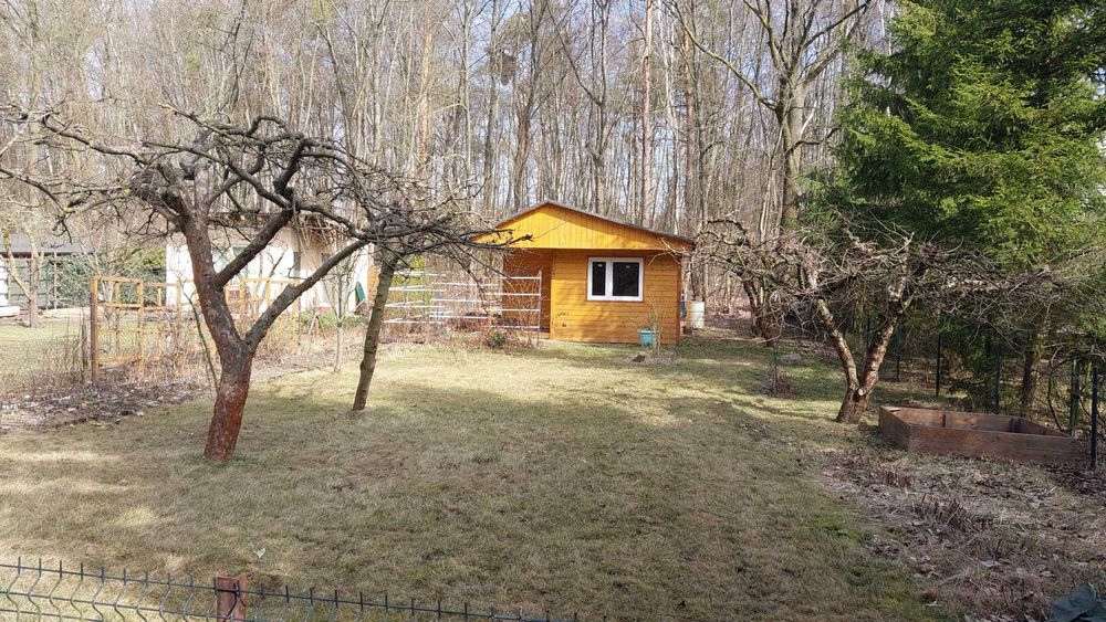 działka ROD Jelonek/Suchy Las