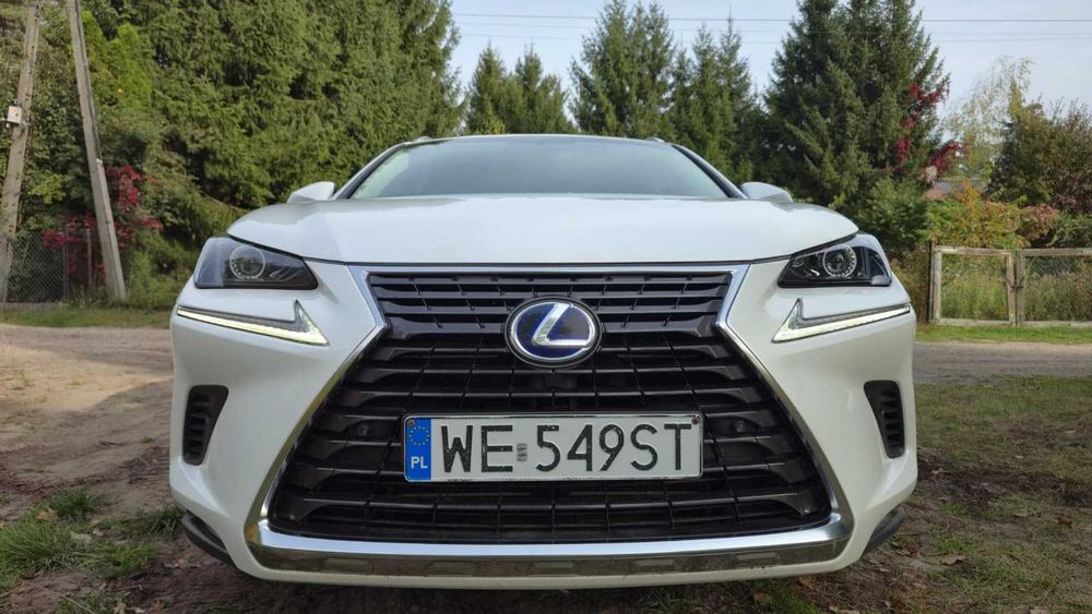 Lexus NX 300h Salon PL