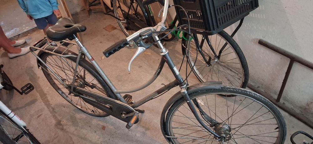 Rower Batavus Topper