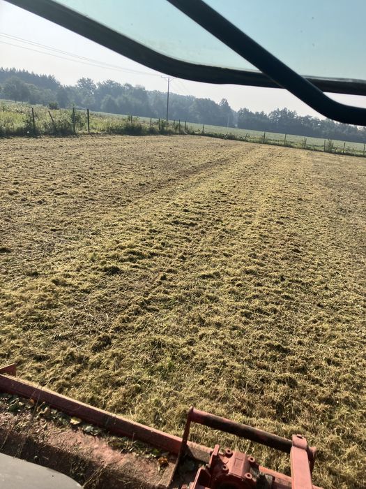 Usługi mulczowanie glebogryzarka wycinka drzew wyrywanie korzeni