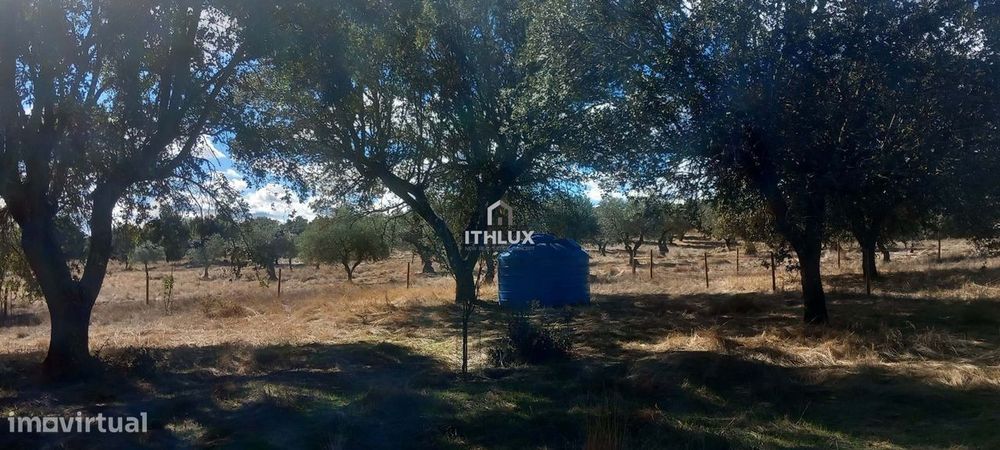 Terreno rústico com aproximadamente 70.000 m2  (7 hectares) para venda