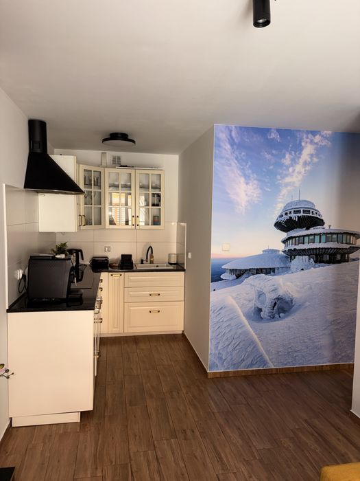Nowoczesny apartament Karpacz „Dla Ciebie”