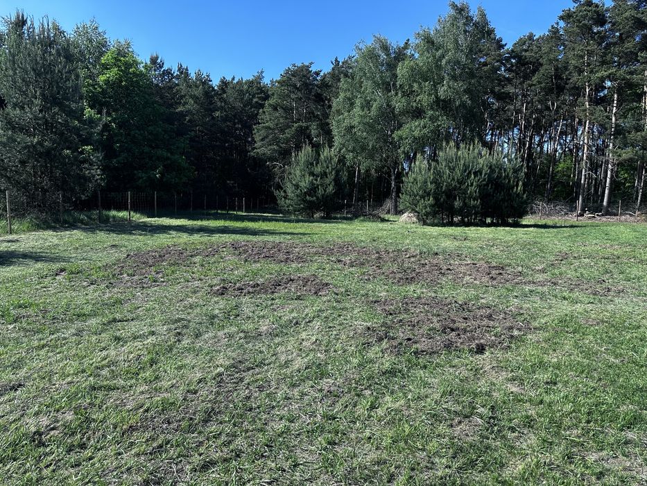 NA SPRZEDAŻ – DZIAŁKA 1829 m²  | Media w pobliżu | Atrakcyjna  okolica - View 2