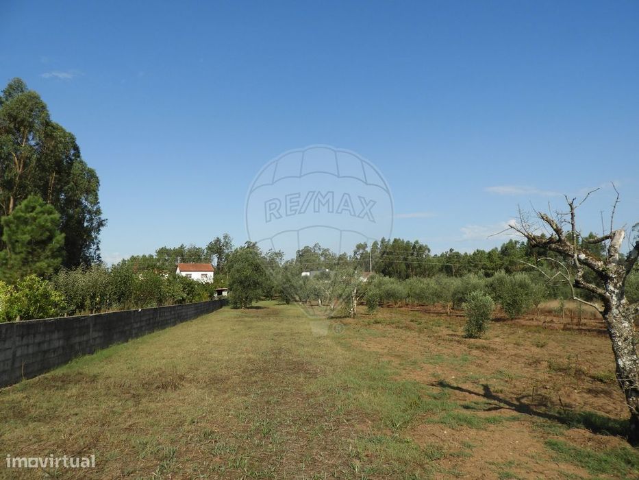 Terreno  para venda — Pombal, Leiria