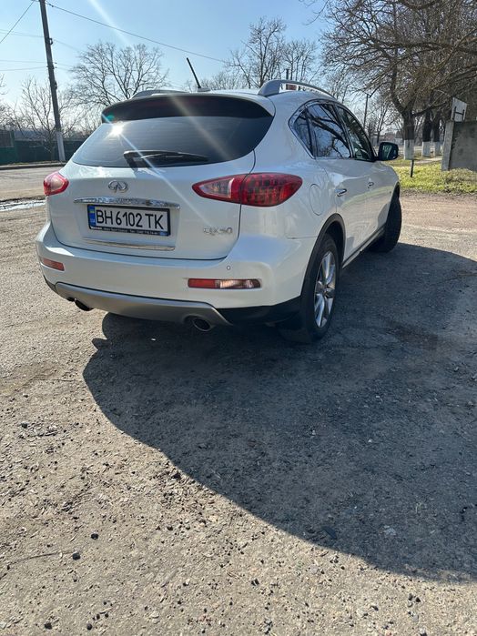 Фінік у гарному стані