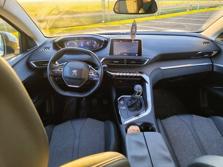 Peugeot 3008 II Kamera Manual 2020