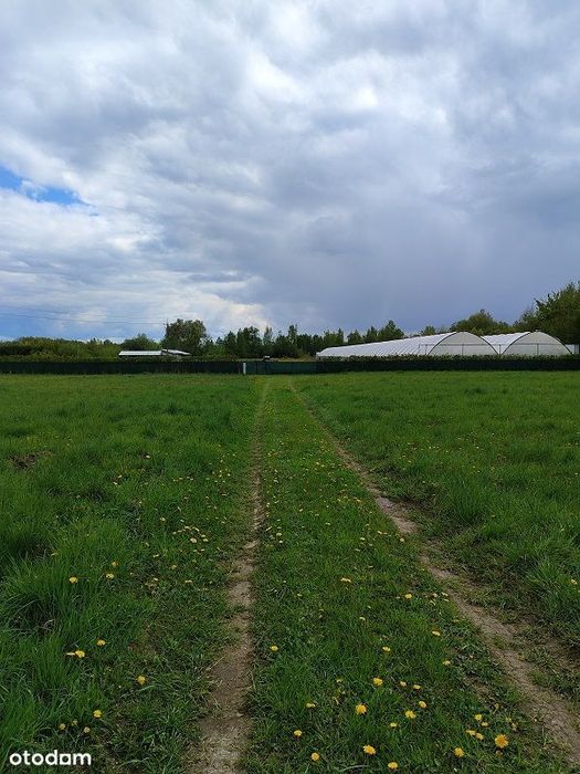 Sprzedam działki budowlane w Gąskach pod Warszawą