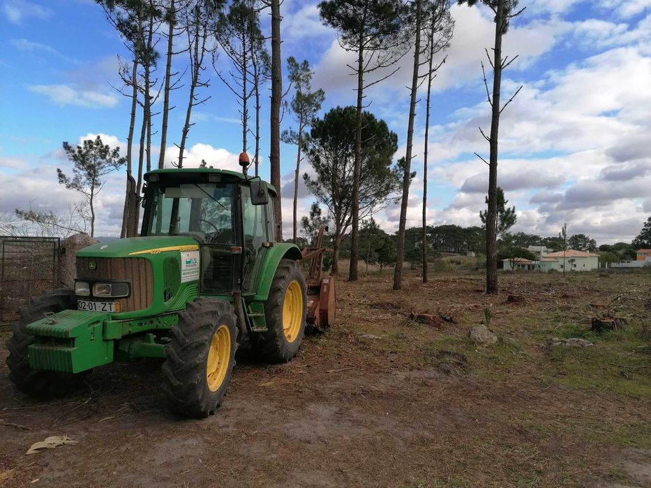 Limpezas de Terrenos e Serviços Florestais