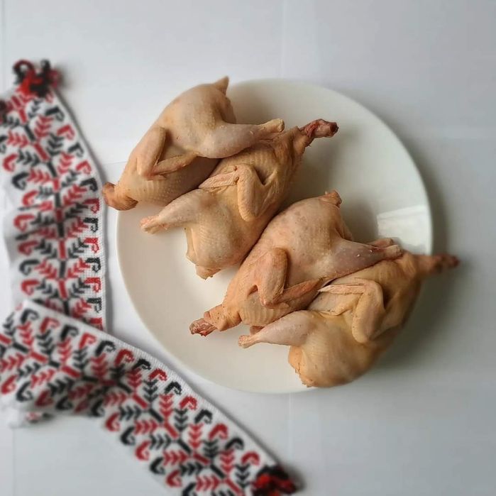 Тушки перепелів, м'ясо перепелів