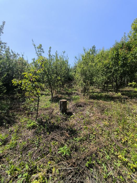 Дом по адресу ул. Капеланська (площадь 50 м²) - Atlanta.ua - фото 8