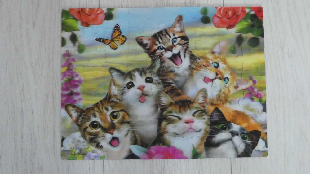 Puzzle dziecięce 6+