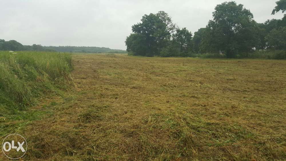 Koszenie mulczowanie traw łąk działek dróg rowów poboczy nieużytków