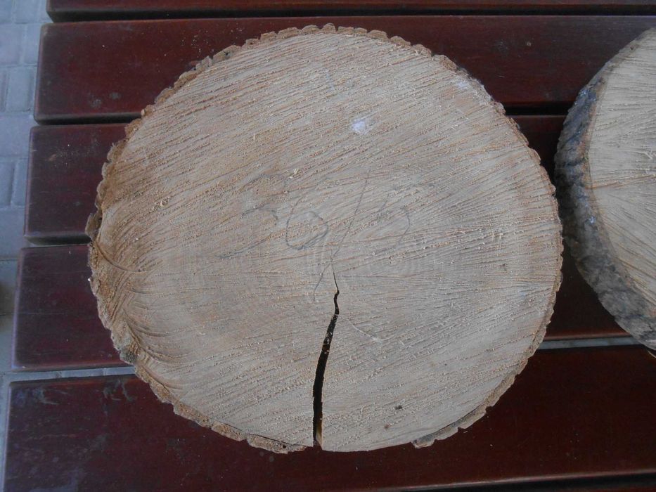 Plastry jesionowe 2 sztuki średnica 36 cm, gr. 5 cm