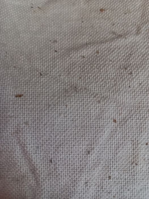 Домотканное льняное полотно.