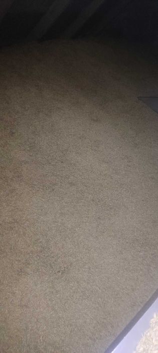 Sprzedam owies70 zł saladera 65 zł