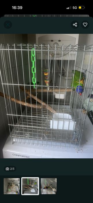gaiola zincada nova