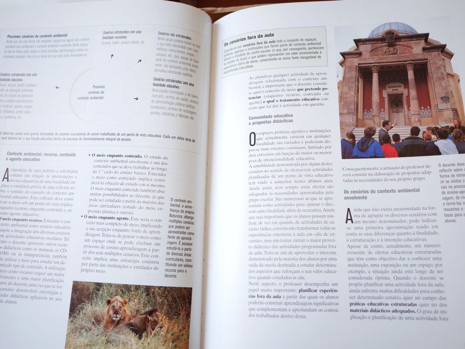 Os docentes do 1º e do 2º ciclos do ensino básico - 4 volumes novos