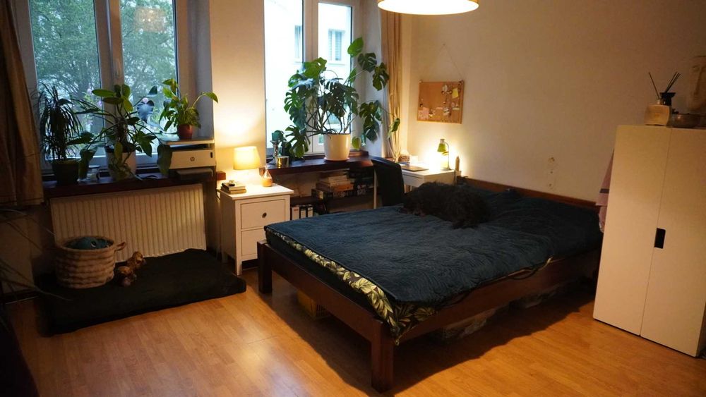 Mieszkanie / Duża kawalerka z kuchnią w aneksie przy parku (Łękno, Szczecin) - Więcej