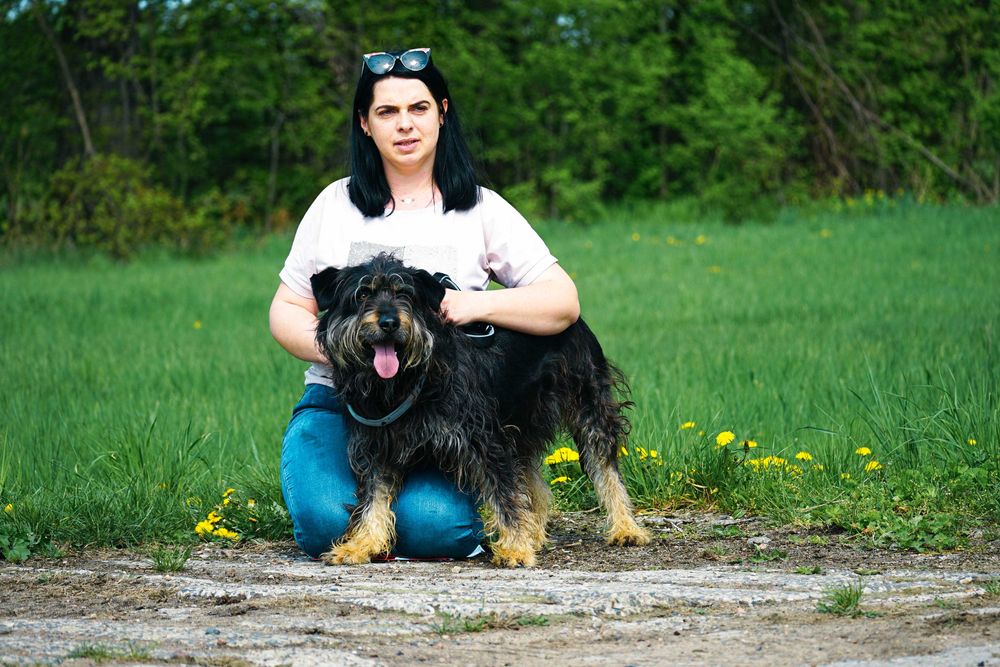FRUGO - śliczny kudłaty pies szuka domu