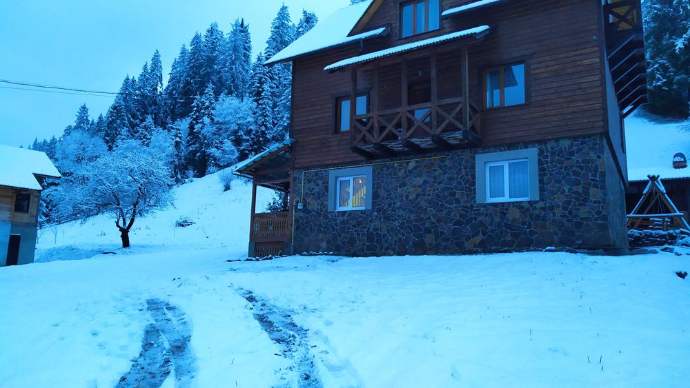 Відпочинок в Славське "Котедж Аліна"