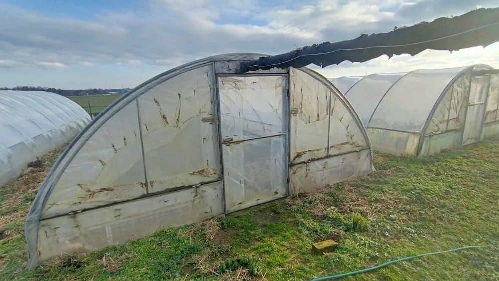 Tunel foliowy 5m x 15m ocynk