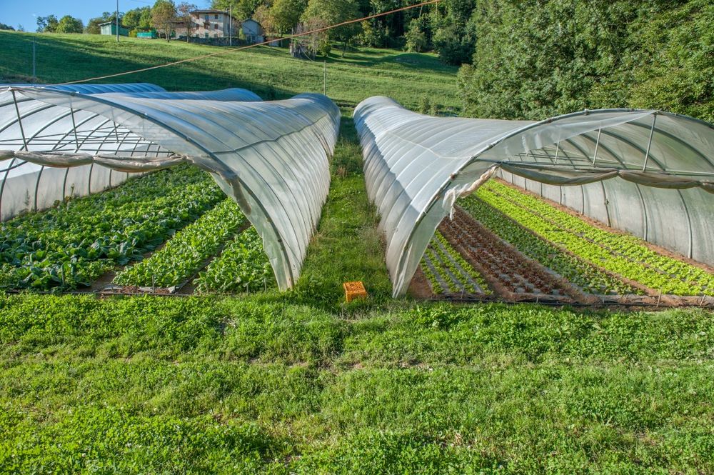 Дуги для парників теплиць