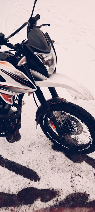 Продам Лонкін прус