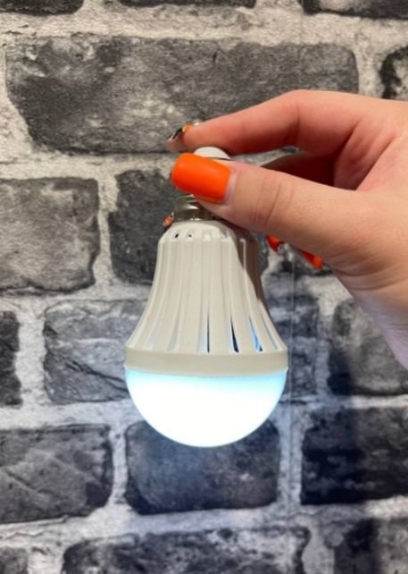 лампа світлодіодна  LED E27 12W з акумулятором