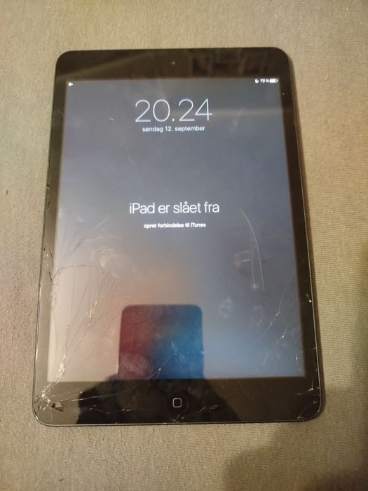 iPad mini 2 generacji