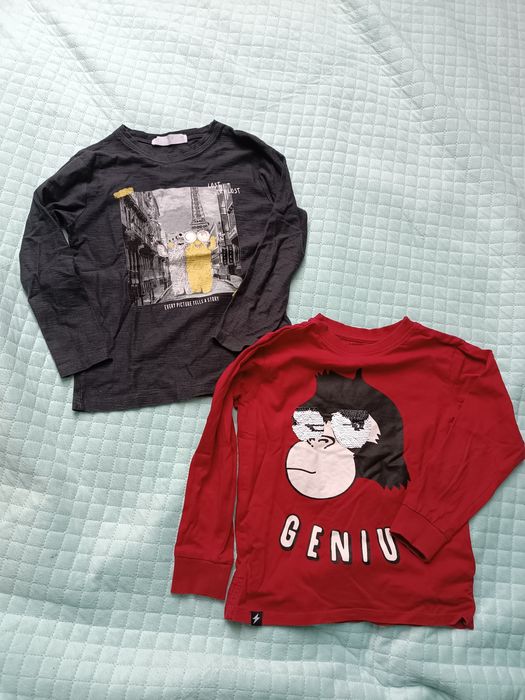 Koszulki z długim rękawem, t-shirt, r.116, Zara i Reserved