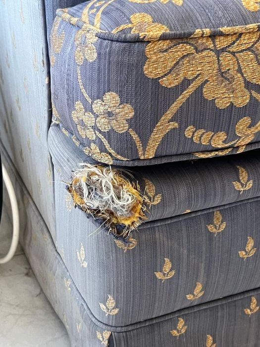 2 sofas, 1 is a bed sofa, very cozy