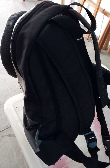 transportar animal pequeno porte