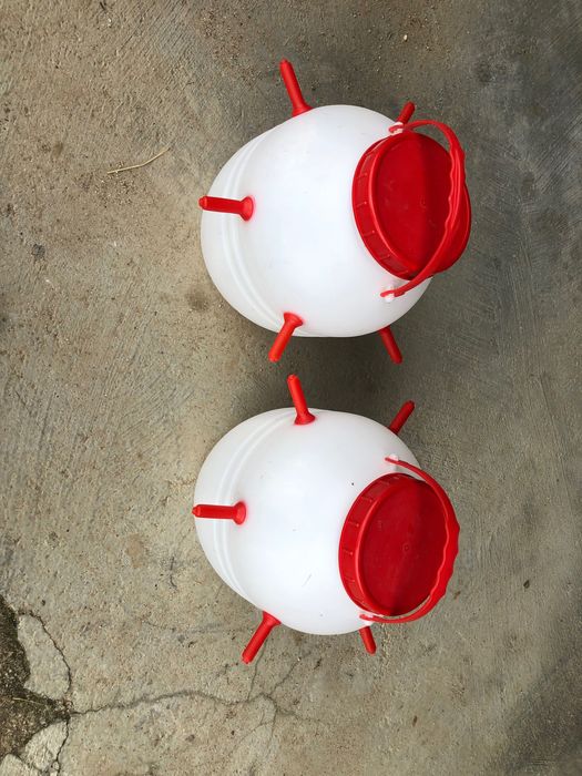 Amamentadores de borregos/ cabritos