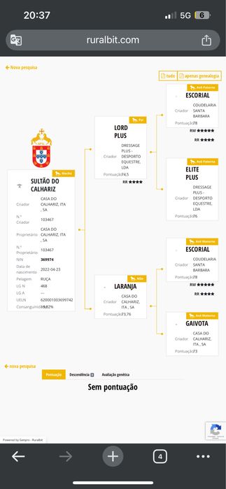 Vendo cobricoes 3 garanhoes optimas linhagens