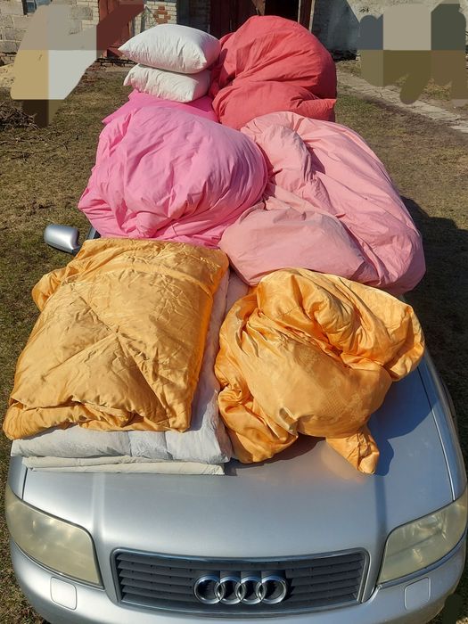 Pierzyny sprzedam 30 kg pierzu