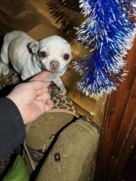 Девочка росформирование