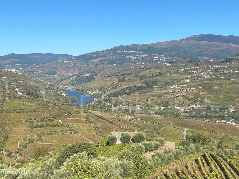 Quinta T6 em Lamego, Cambres, com vinha e vistas rio Douro