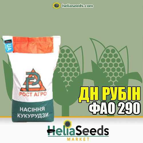 Насіння кукурудзи гібриди української селекції