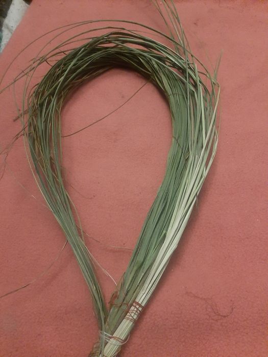 Суха трава зубровки.