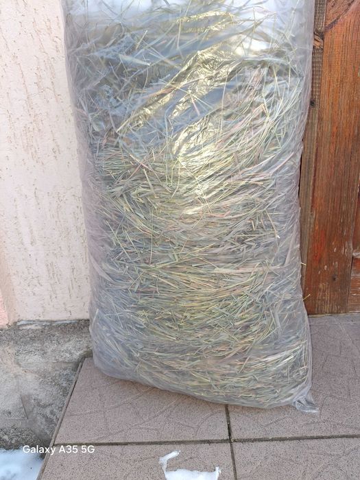 Сіно зелене для гризунів 3 кг 199