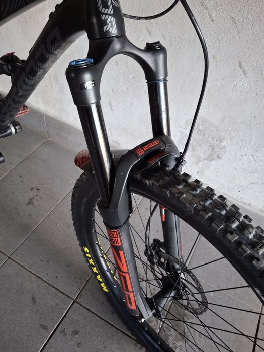 Rower Dartmoor blackbird