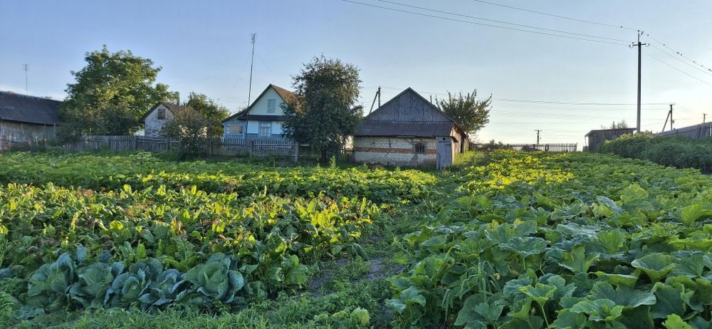 Продам хату в с. Старосілля