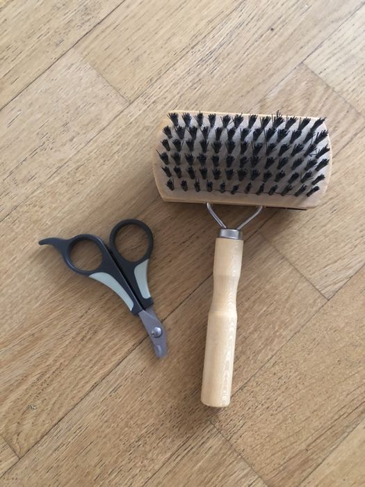 Принадлежности для котов