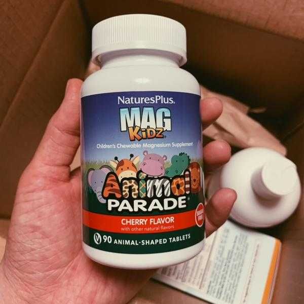 Mag Kidz США Магний для детей, вишневый вкус, детский магний, 90 шт