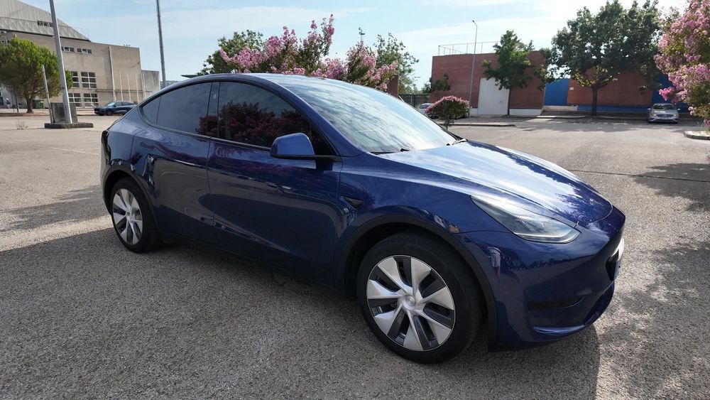 Tesla Model Y RWD